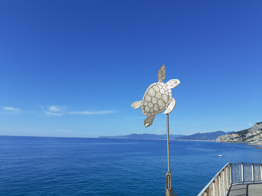 Passeggiata dei Cetacei-菲纳莱利古雷必去景点
