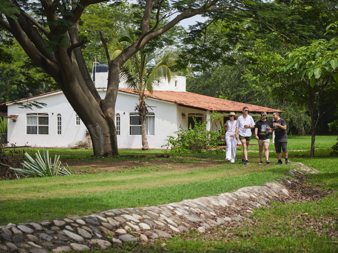 Finca 18-瓦拉塔港必去景点