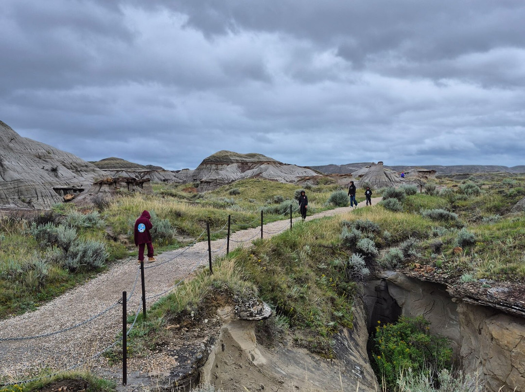 省立恐龙公园-艾伯塔必去景点