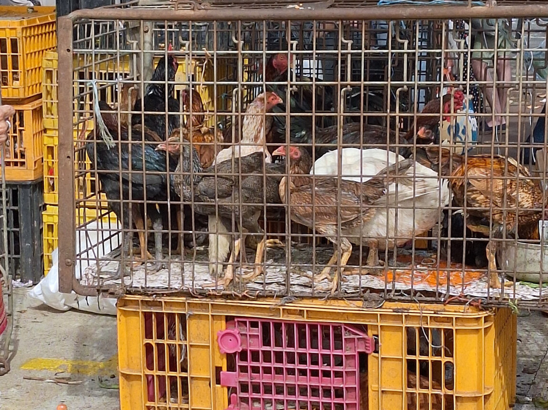 Marche Forain-留尼旺圣皮耶必去景点