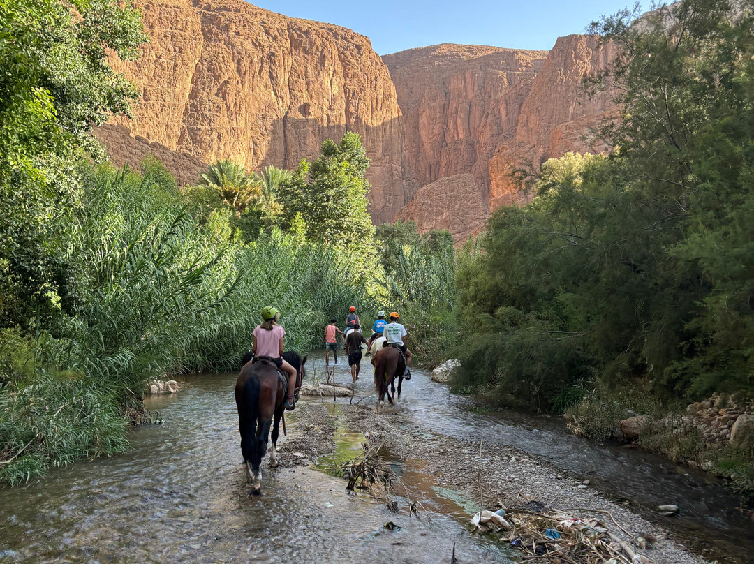 Discover Todra Gorge with Locals - Tourist Information & Experience Center-廷吉尔必去景点