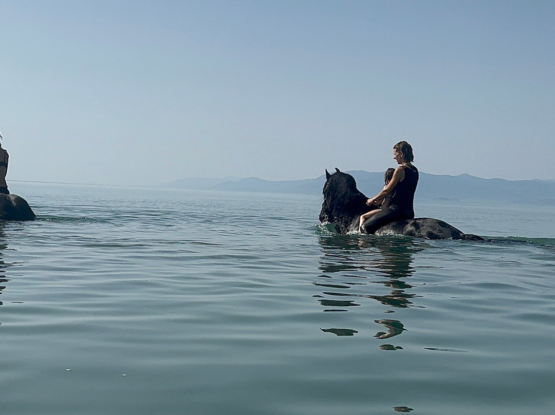 Horse Riding Argos-Argos必去景点