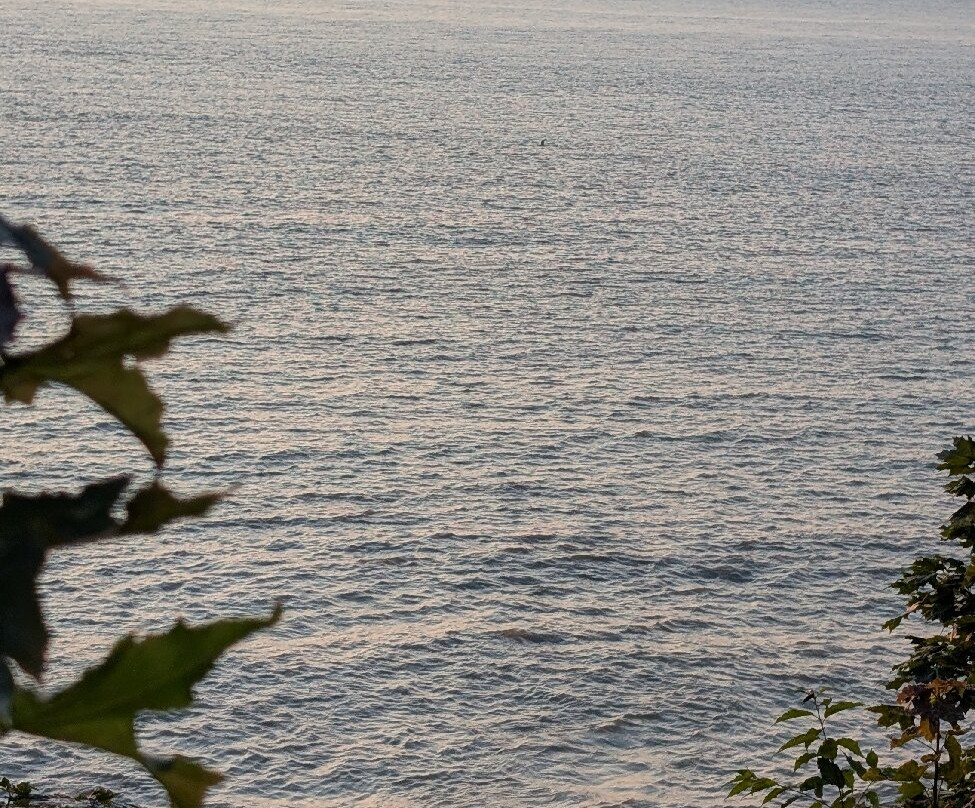 Motel de la Falaise主图