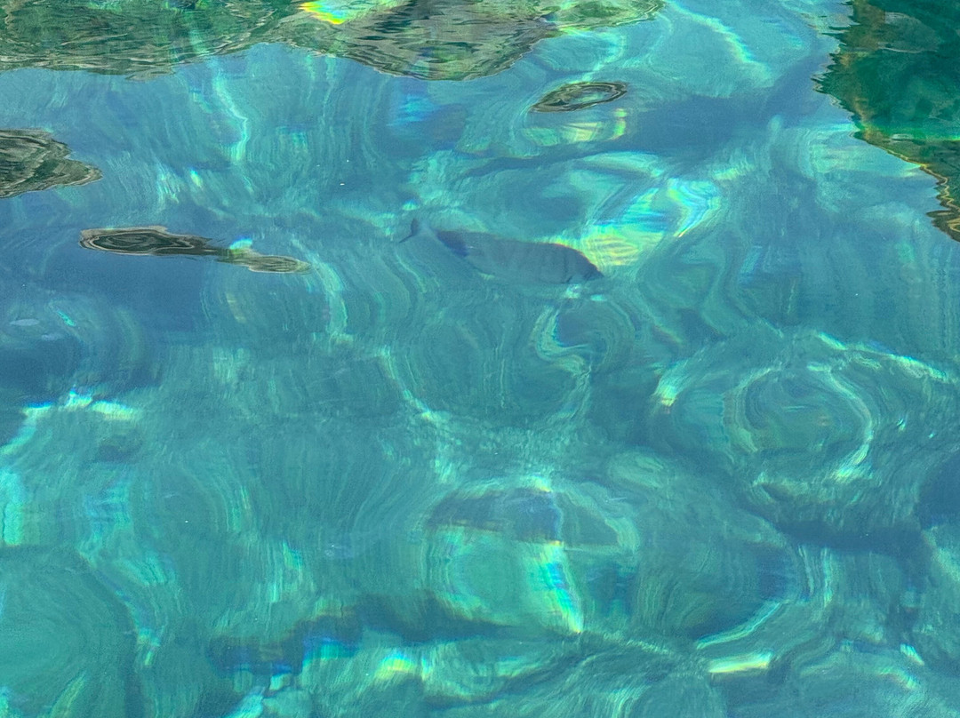 White Taxi Service Malta-Luqa必去景点