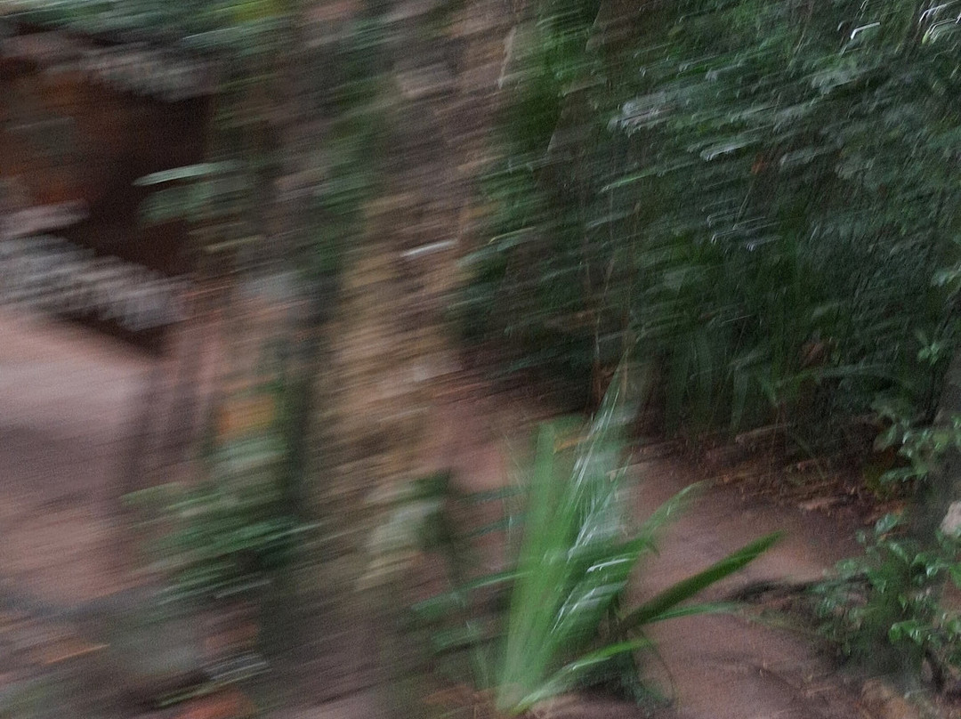 Pataxo Turismo-Porto Seguro必去景点