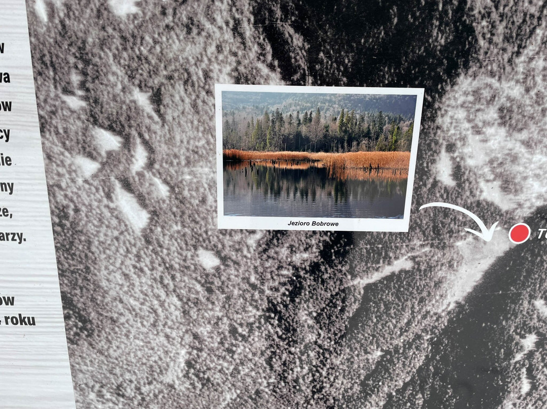 Jeziorka Bobrowe - Platforma Widokowa-Baligrod必去景点