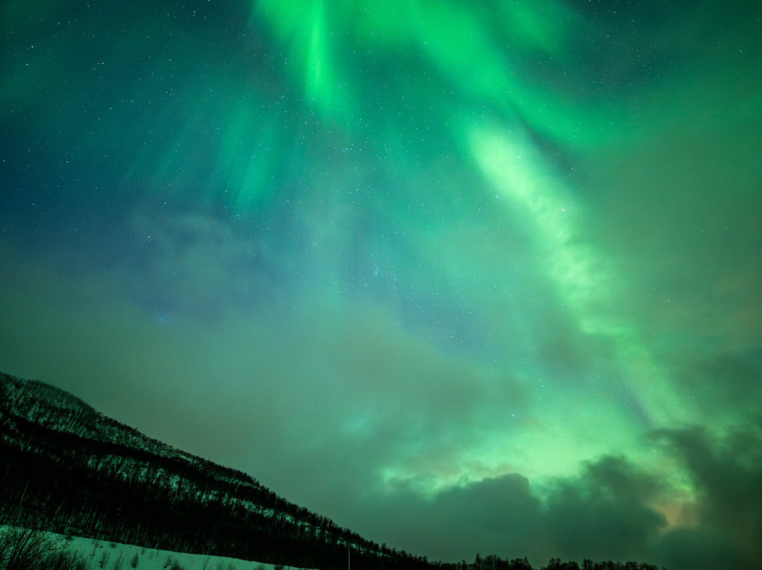 The Arctic Moments-特罗姆瑟必去景点