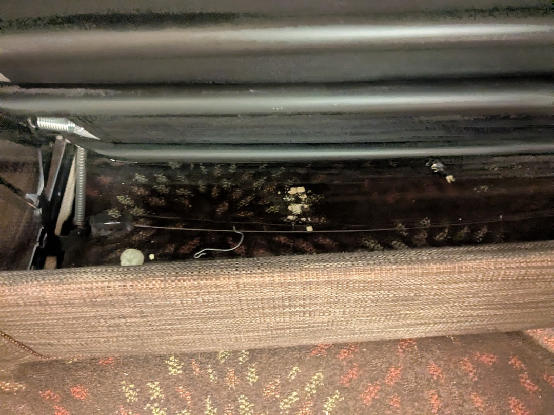 Holiday Inn Express & Suites Frankenmuth By IHG主图