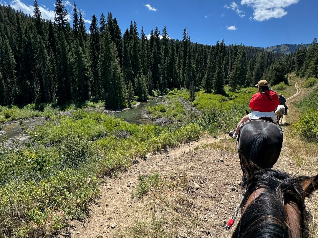 North Fork Trail Rides-杰克逊必去景点