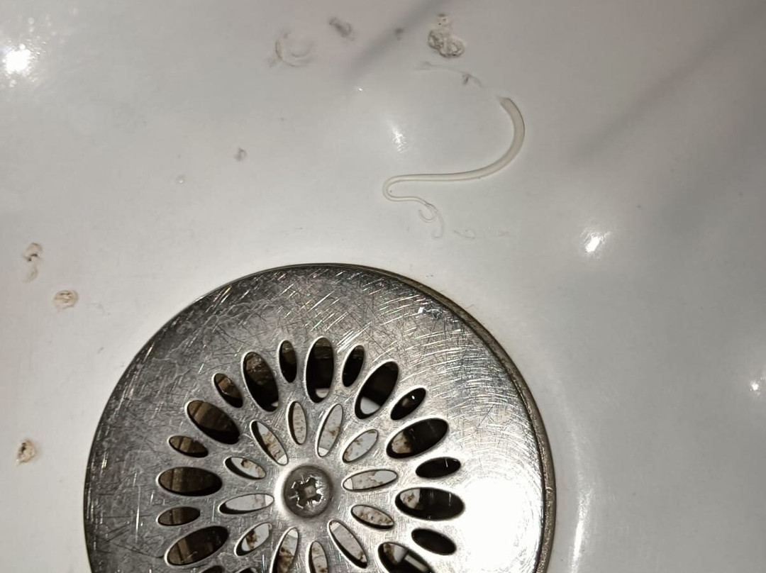 Hotel Le Boischaut主图