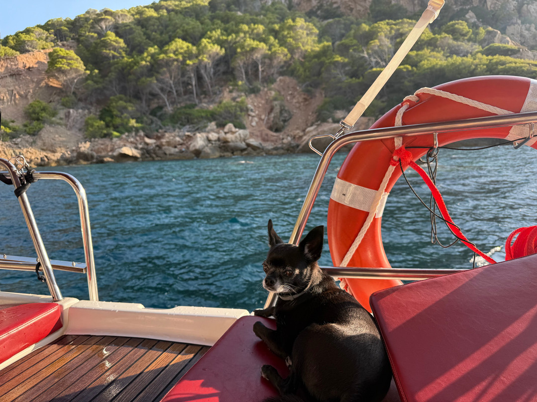 Pura Vida Sailing Mallorca  charter-Port d'Andratx必去景点