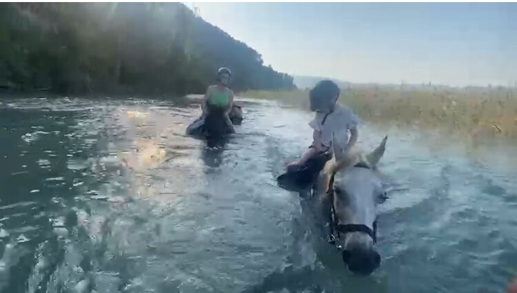 Caunos Horses-达利安必去景点