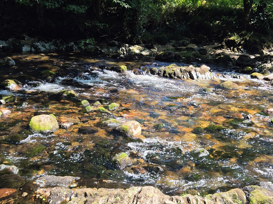 River Dart Country Park-Ashburton必去景点