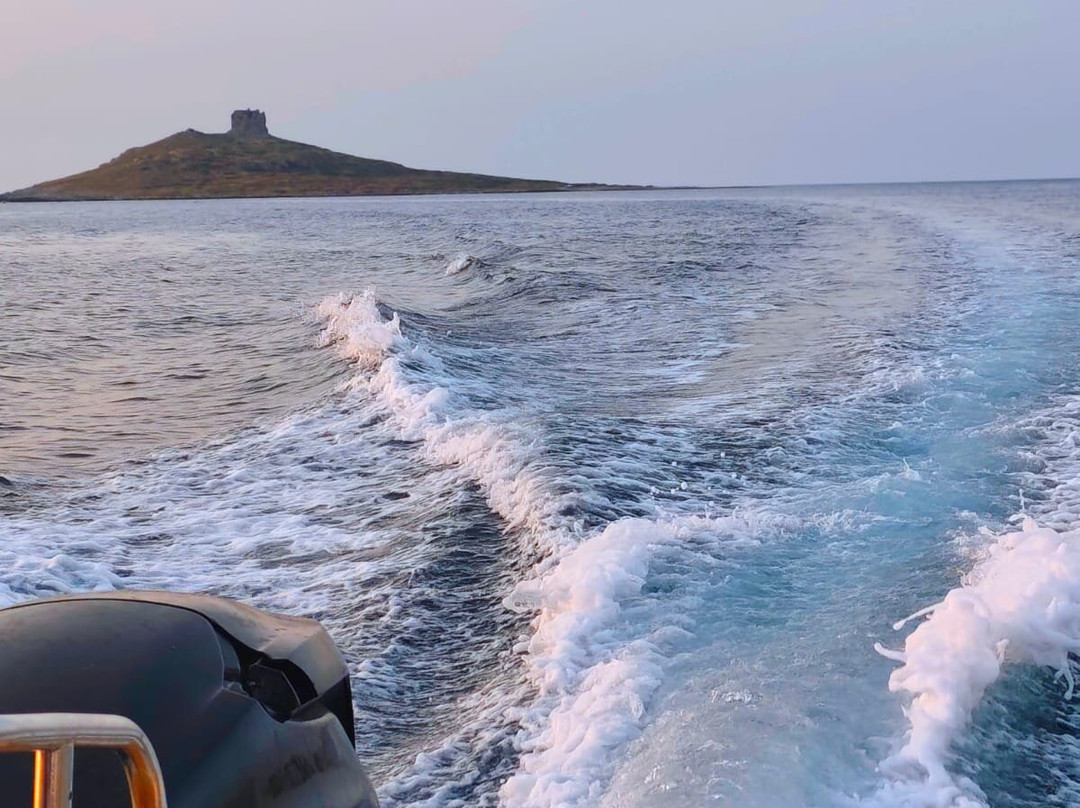 Chelonia - Watersports-Isola Delle Femmine必去景点