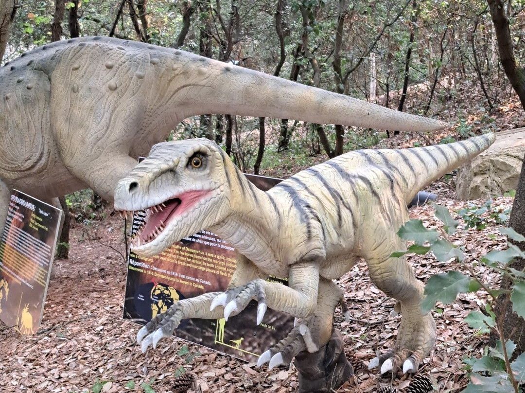 Dino's Park-Saint-Hilaire-de-Riez必去景点