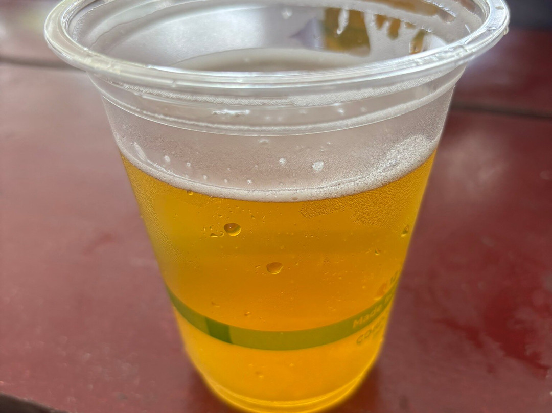 Cisco Brewers-楠塔基特必去景点