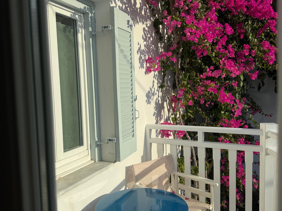 佐尔泽斯酒店主图