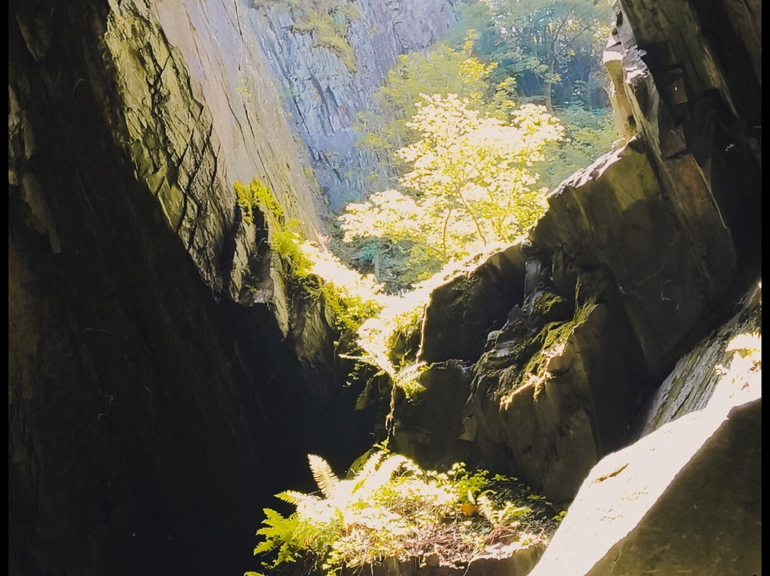 Cathedral Quarry (Cathedral Cave)-Little Langdale必去景点