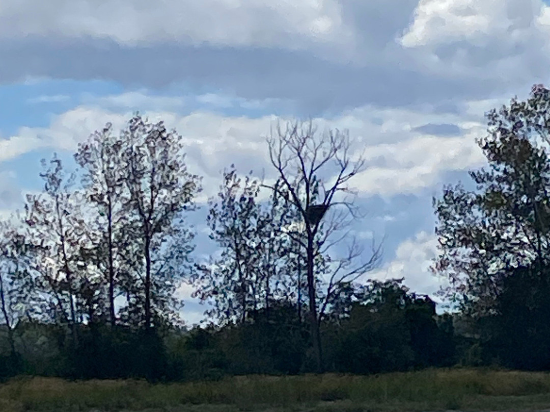 Britannia Shipyards National Historic Site-里士满必去景点