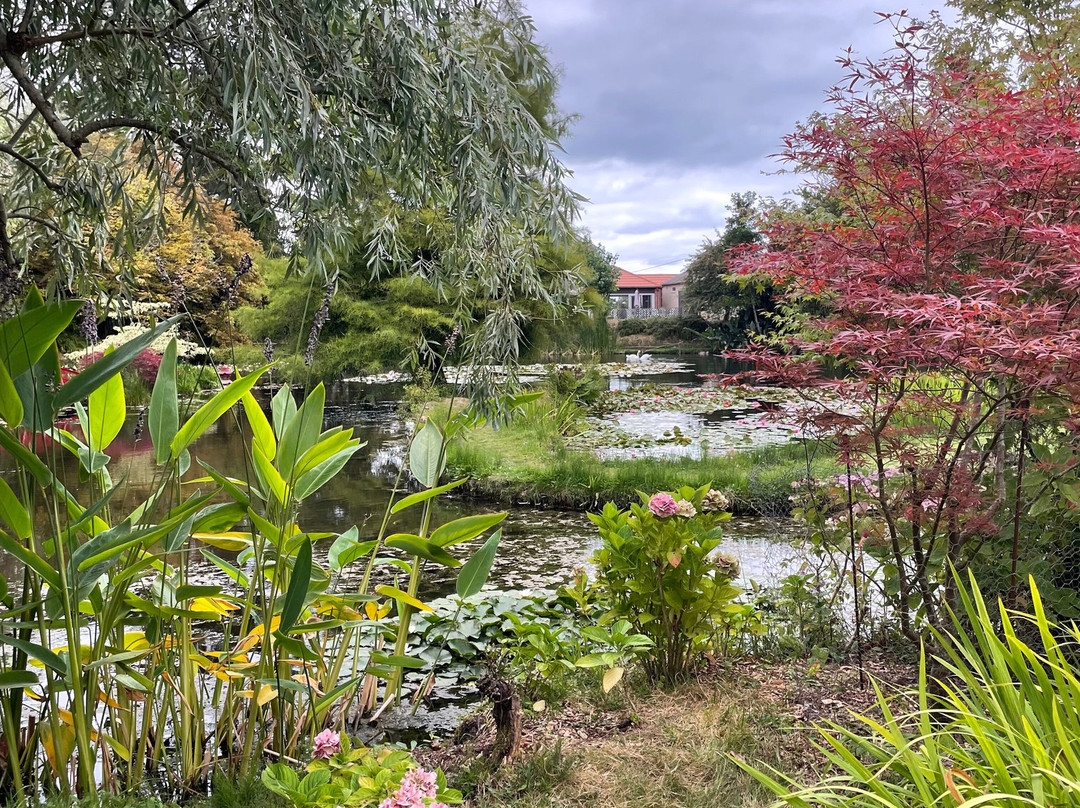 Bennetts Water Gardens-Chickerell必去景点