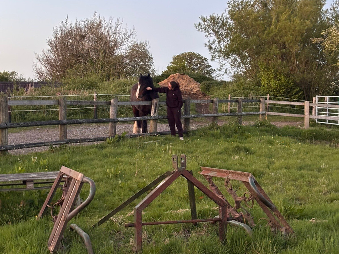 Beudy Bach Bed and Breakfast主图