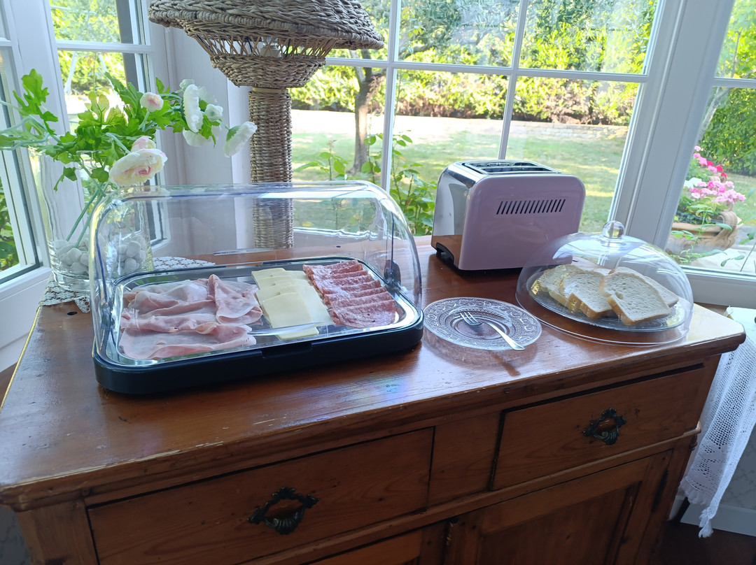 Rose e Merletti主图