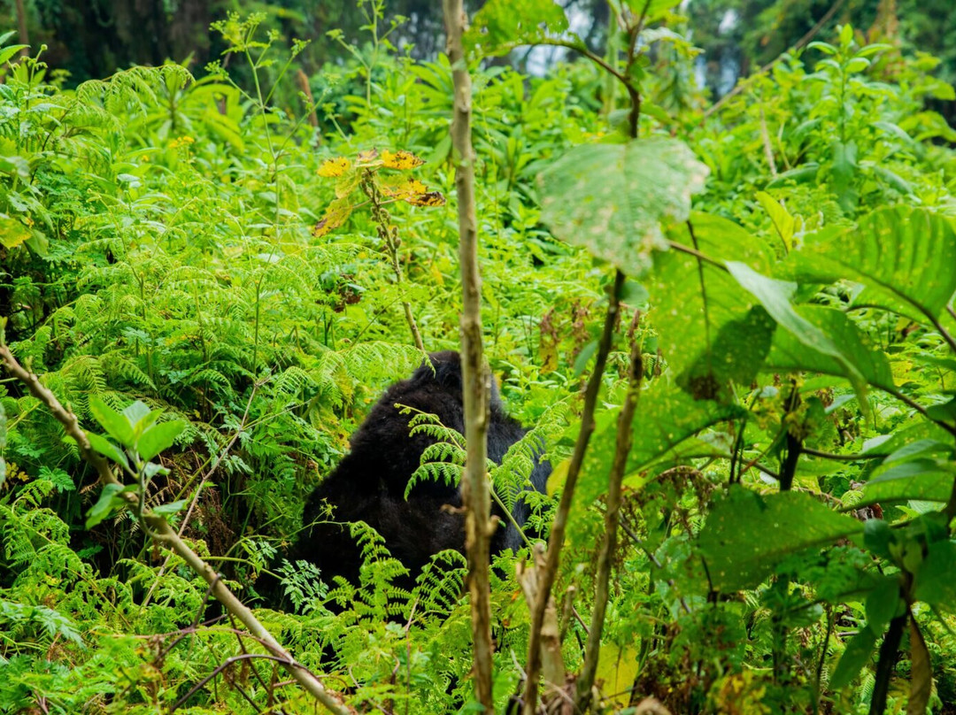 Amahoro Tours-吉佳利必去景点