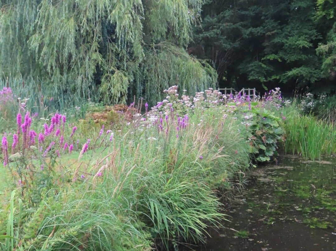 Gooderstone Water Gardens & Nature Trails-金斯林必去景点