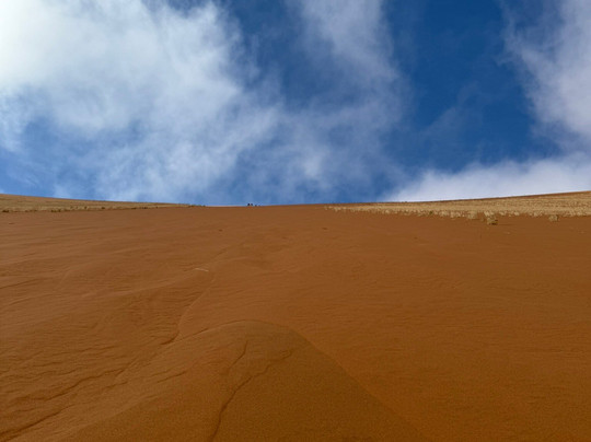 Across Africa Tours LLC-纽瓦克必去景点