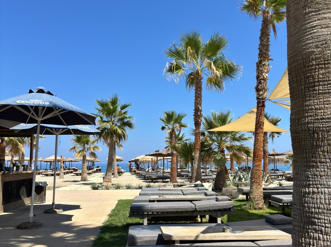 Baja Beach Club Restaurant-雷斯蒙必去景点