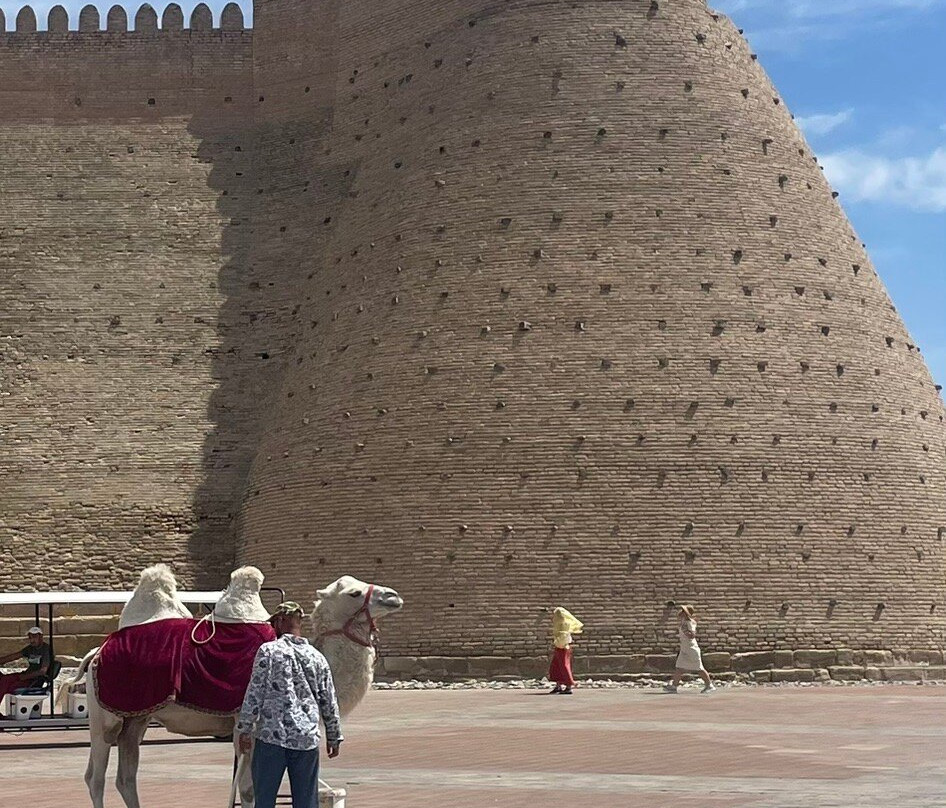 Ark of Bukhara-布哈拉必去景点