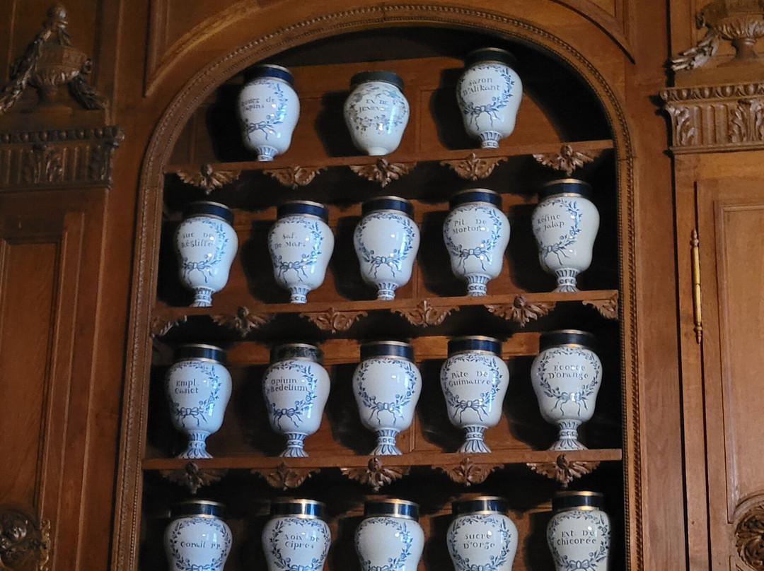 Hôtel-Dieu de Lons-le-Saunier-隆勒索涅必去景点