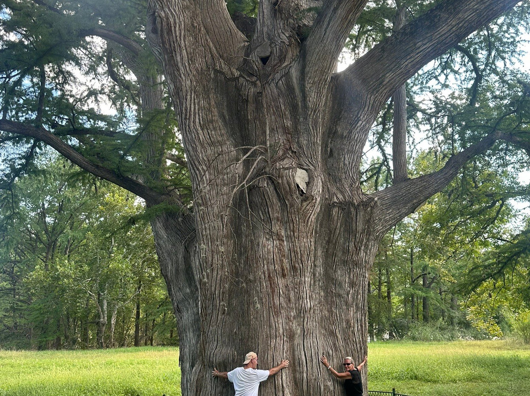 Frio River Private Access-Concan必去景点