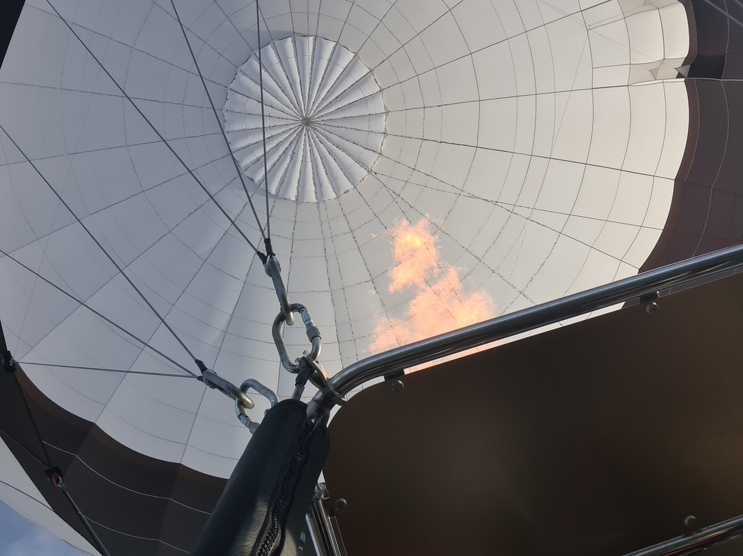 Touraine Montgolfière-昂布瓦斯必去景点