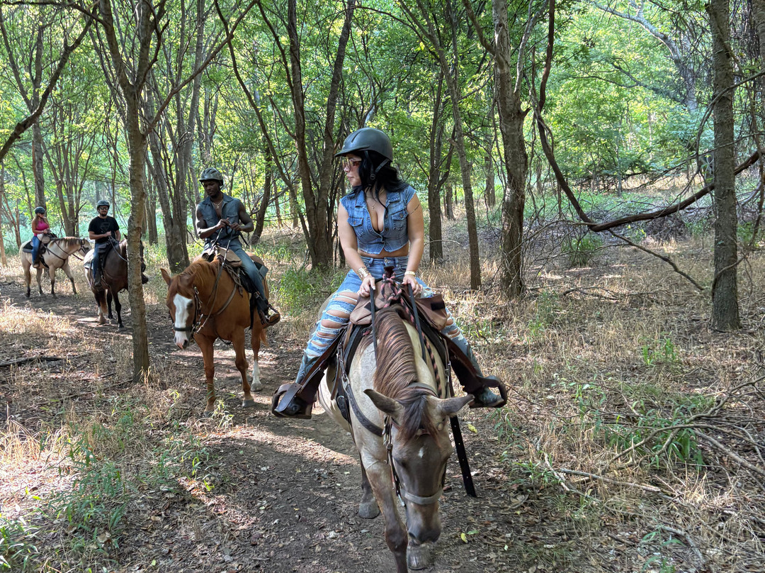 Lone Star Ranch-奥斯丁必去景点
