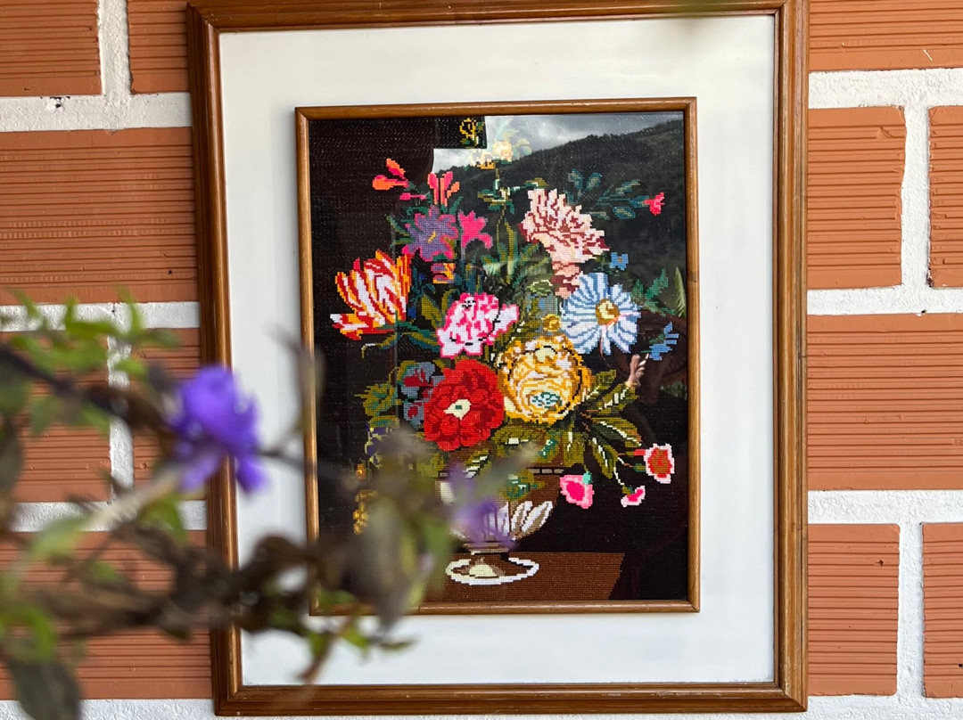 Ecoturismo La Nohelia-Jerico必去景点