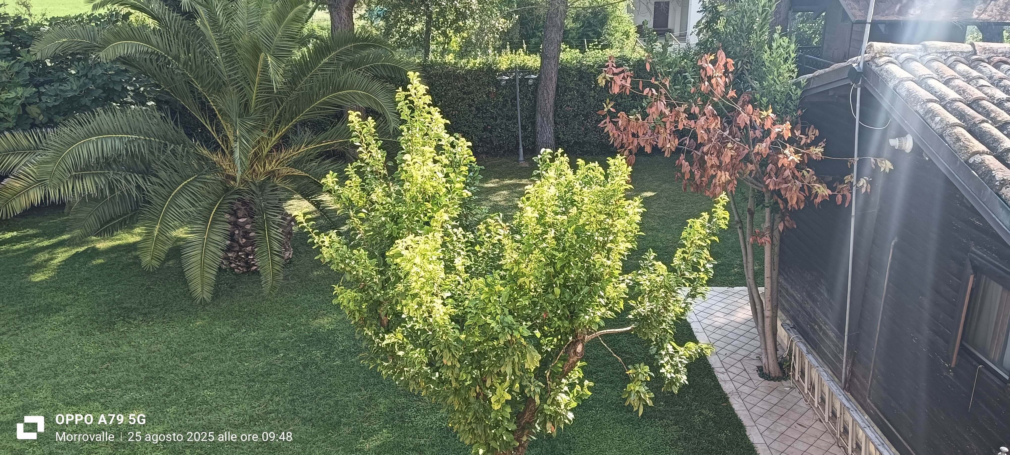 Agriturismo Il Casale-官方