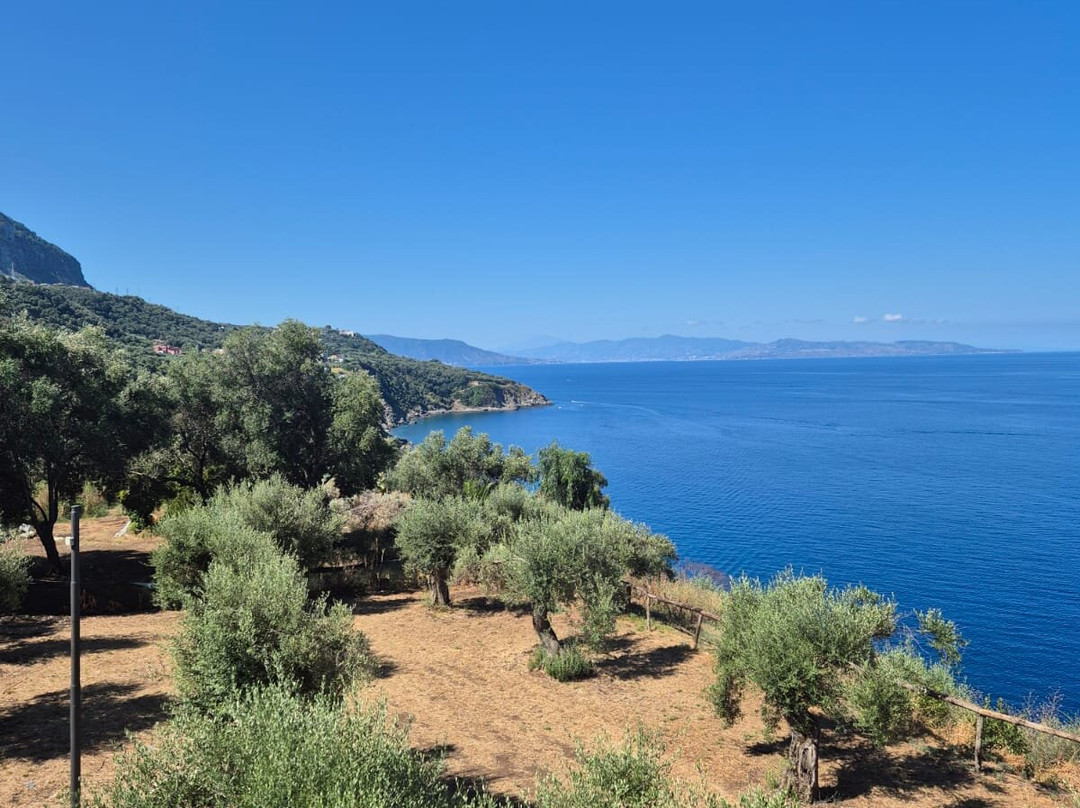 Guardiola di Villa Leonida Repaci-Palmi必去景点