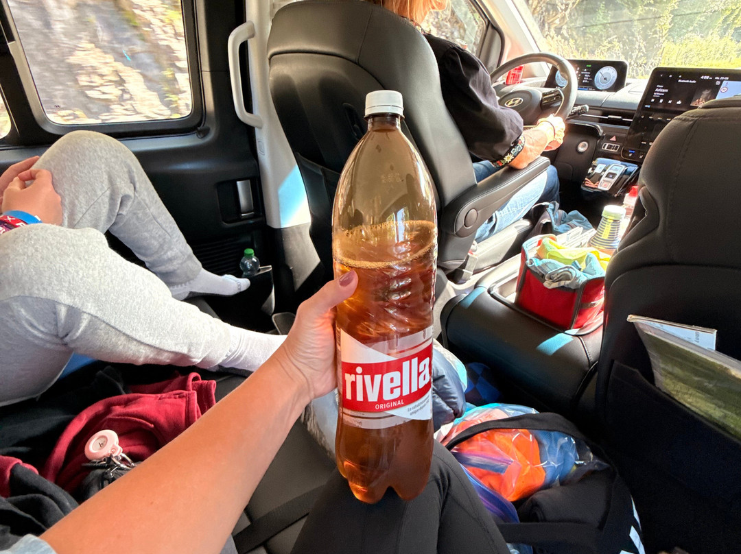 Pure Switzerland - Tours and Guiding-因特拉肯必去景点