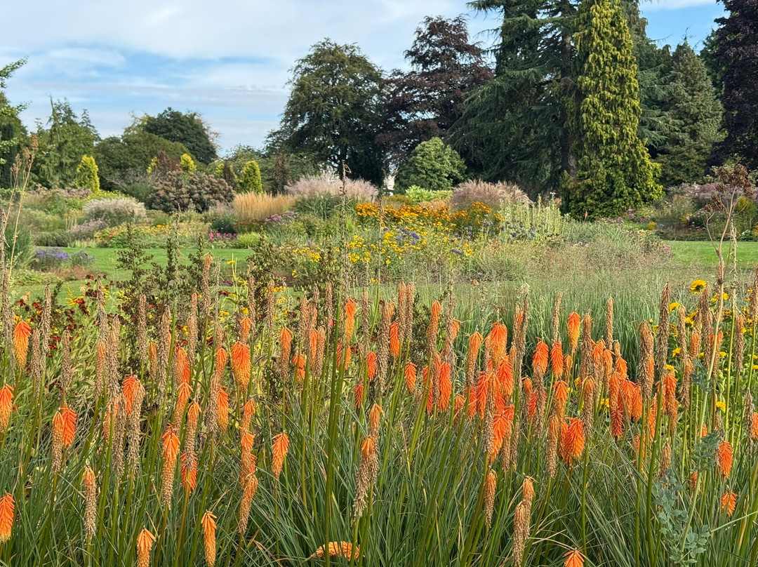 Bressingham Steam Museum and Gardens-Bressingham必去景点
