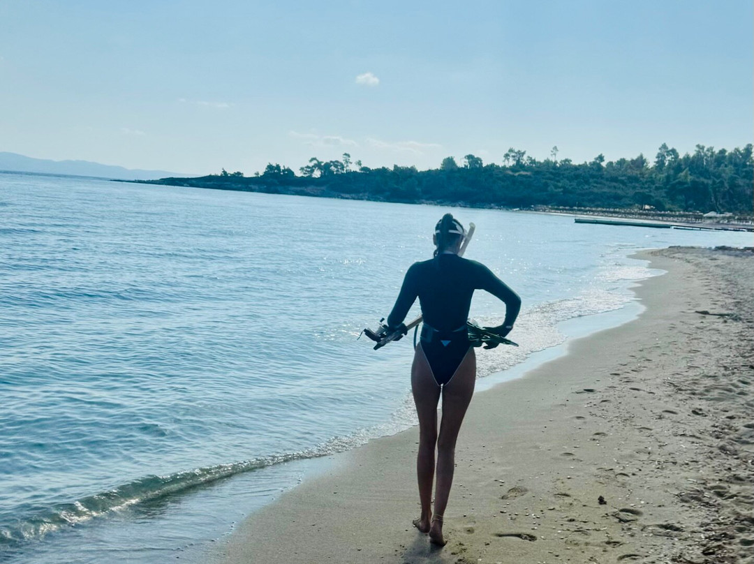 Thalatta Sea Activities