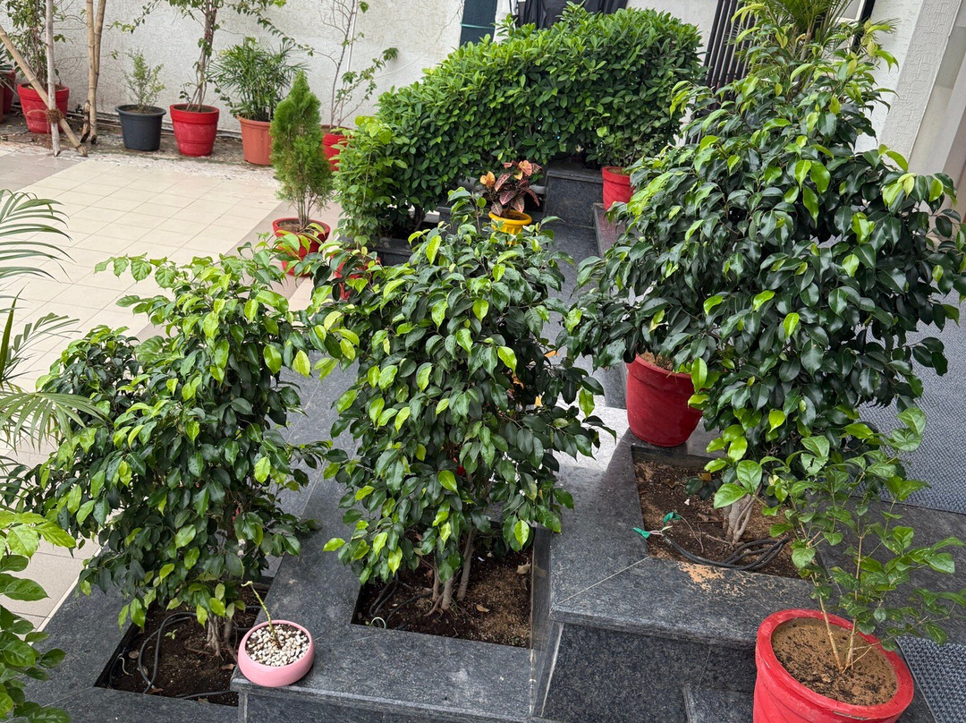 Hotel Le Grande主图