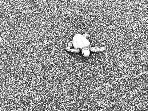 Colombia Infinita-波哥大必去景点