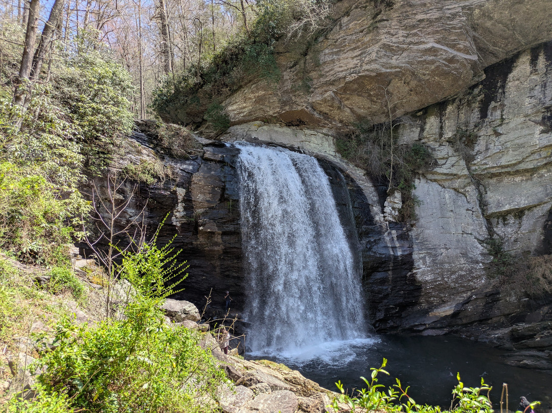 Looking Glass Falls-Pisgah Forest必去景点