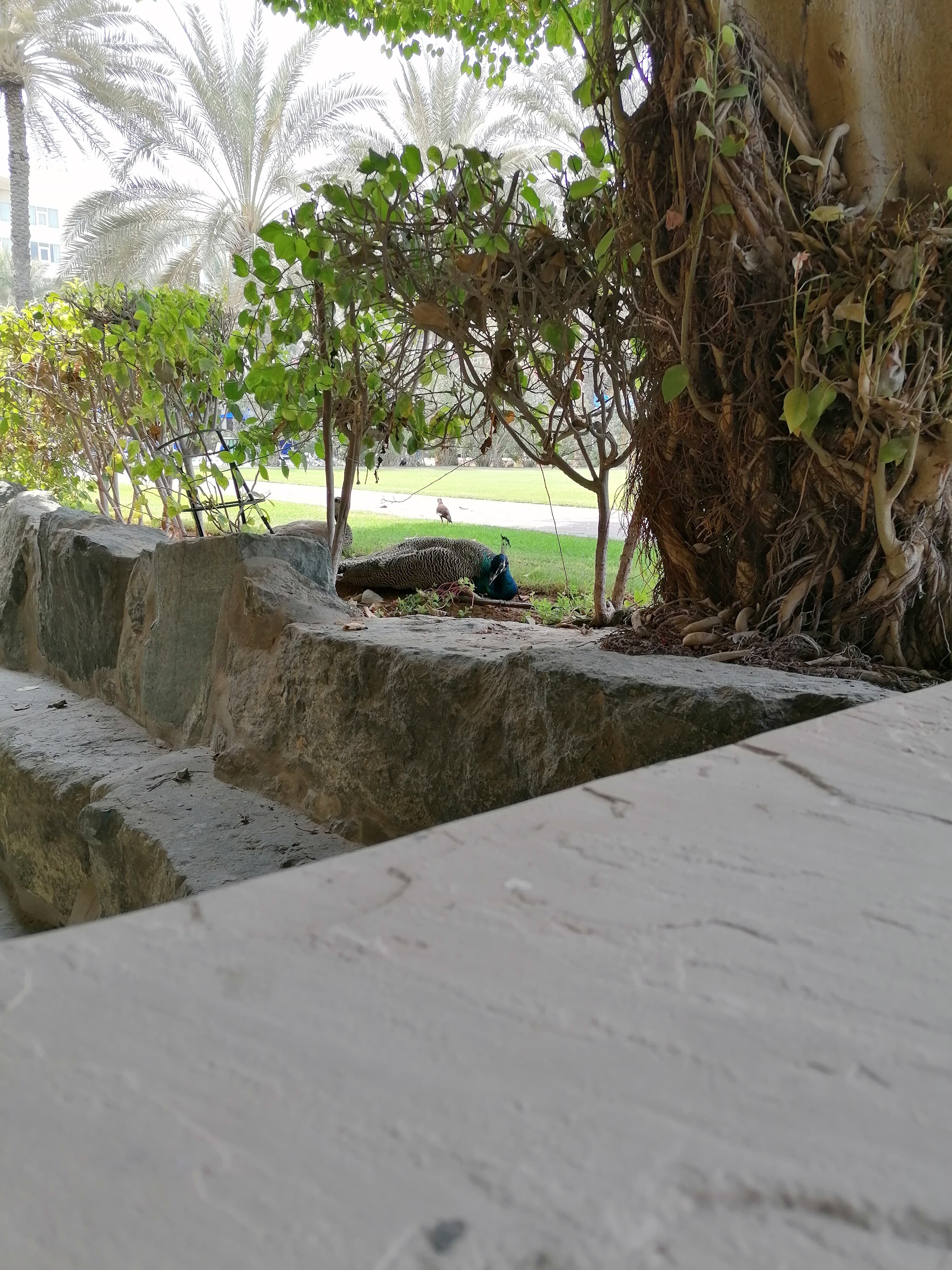 珊瑚海滩度假酒店-浴室