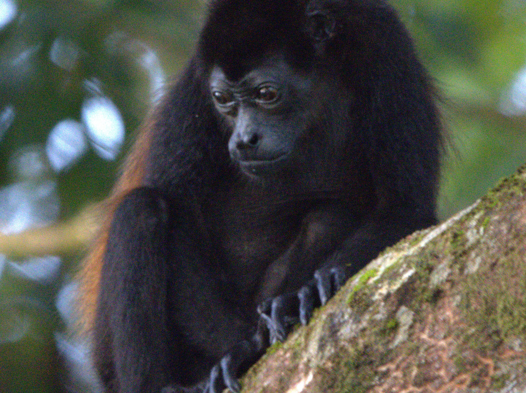 St Costa Rica-Gulf of Papagayo必去景点