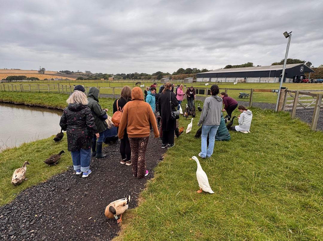 Farm Stop-Portlethen必去景点