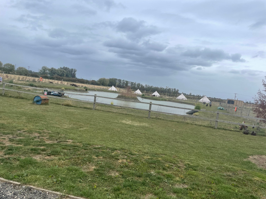 Witham Grange Glamping