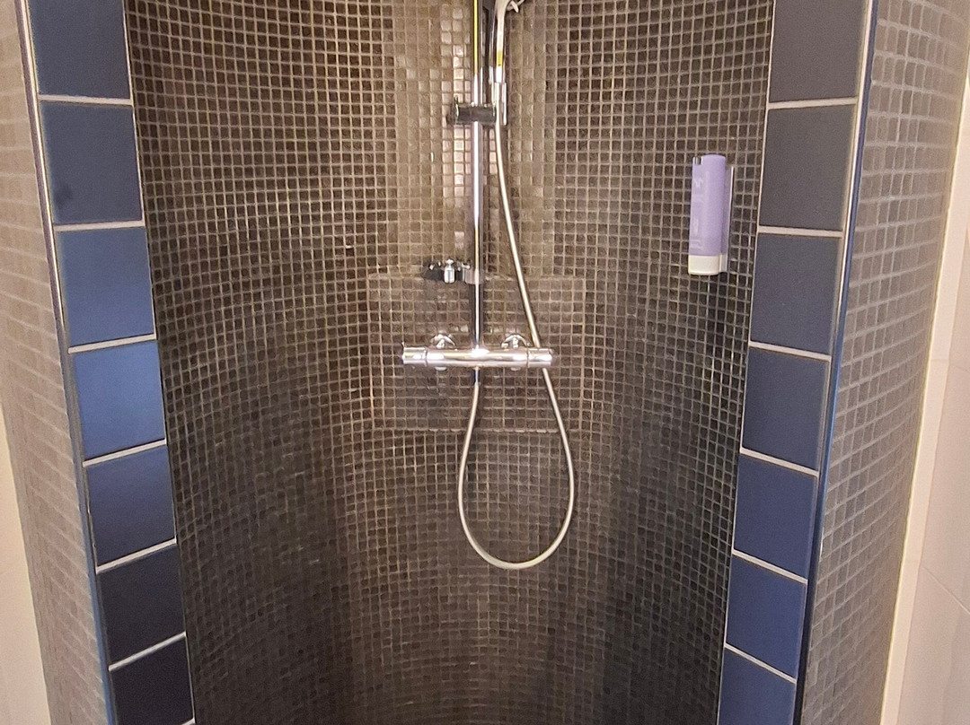 Best Western Plus Hôtel Le Rhénan主图