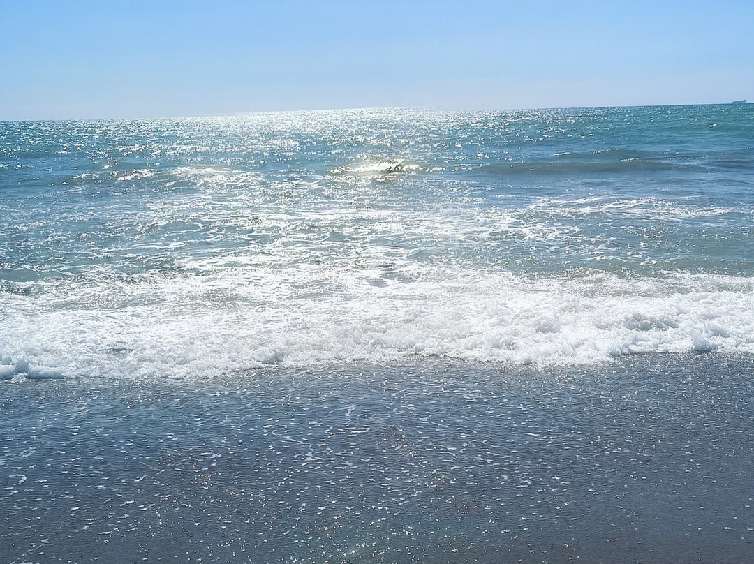 Albergo Riviera Spineta主图